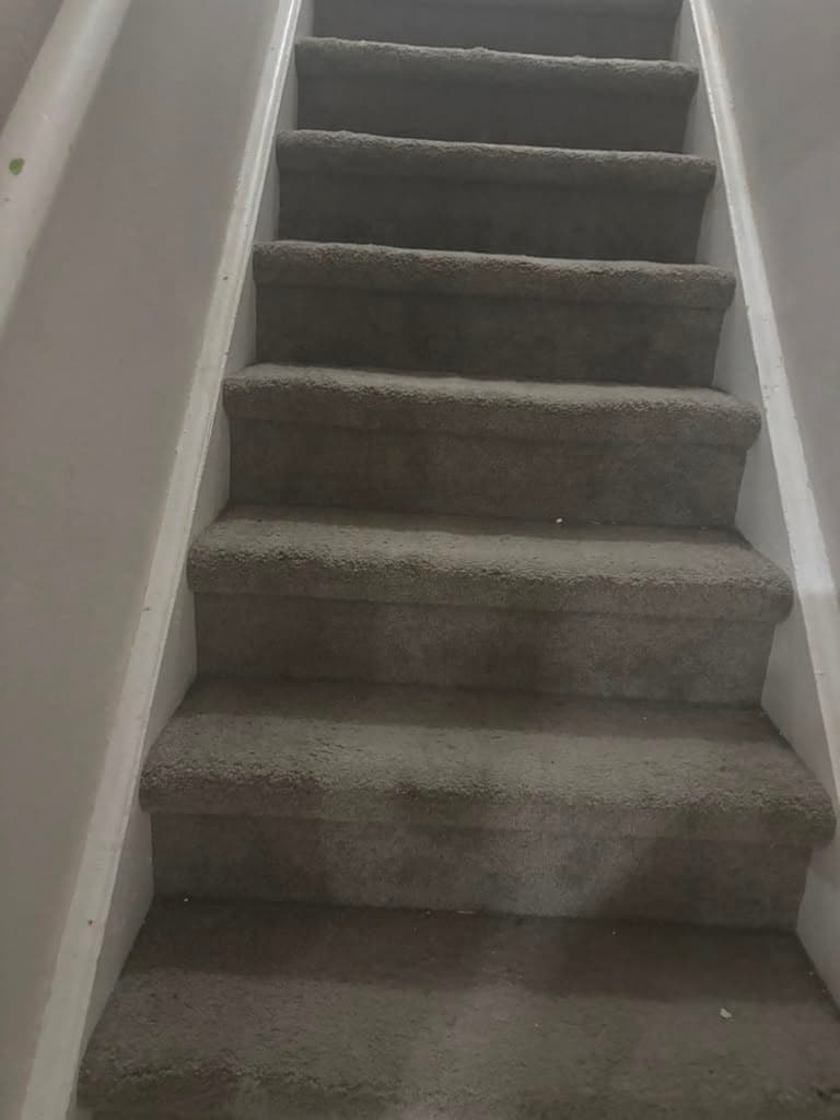 Bee Clean professional cleaning result #4 in Denver, CO